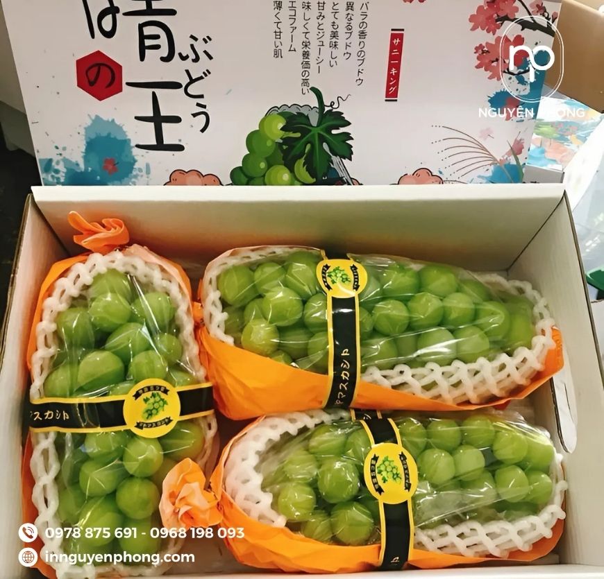 Mẫu thùng carton đựng nho